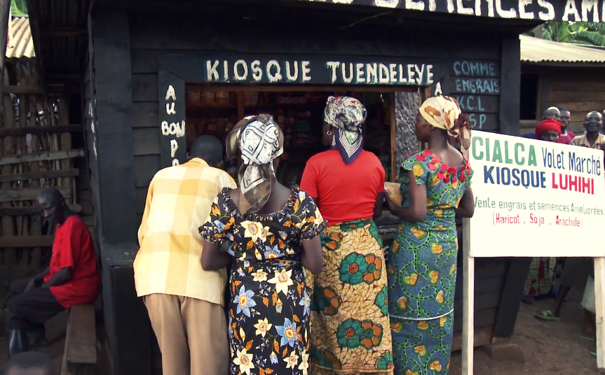 CIALCA: Documenting a decade of agricultural research for development across Central Africa.
