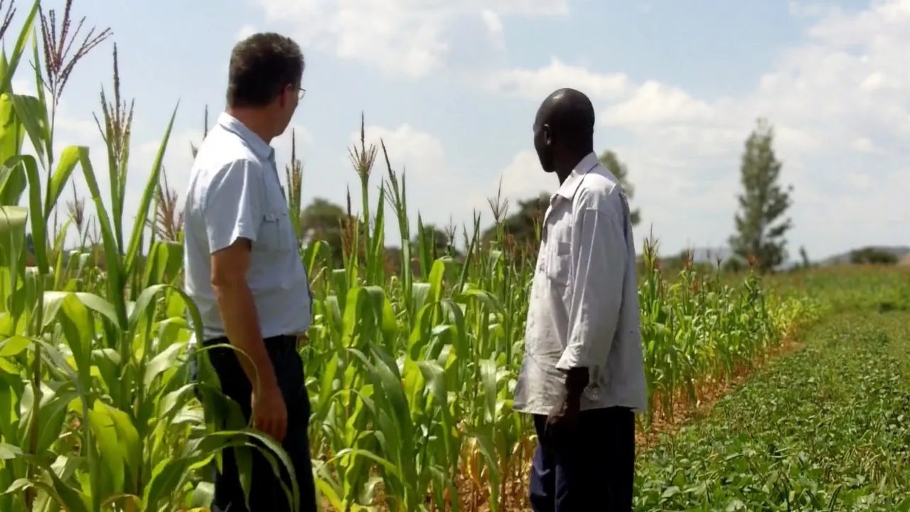 Conservation Agriculture