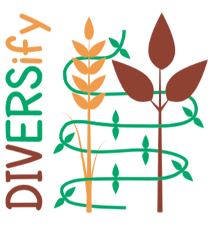 H2020 DIVERsify programme logo