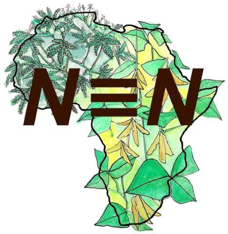 N2Africa programme logo